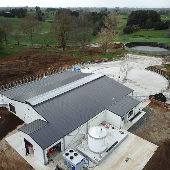 Cowshed Roof