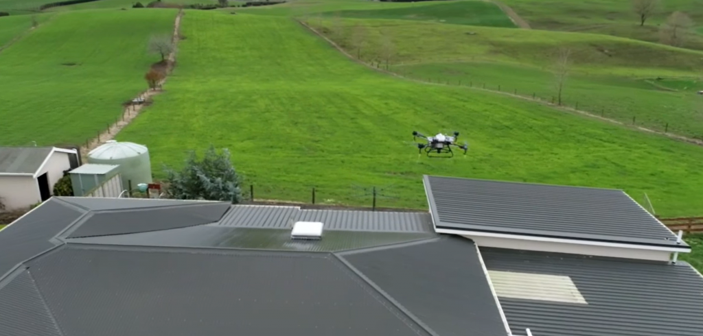 Roof Cleaning